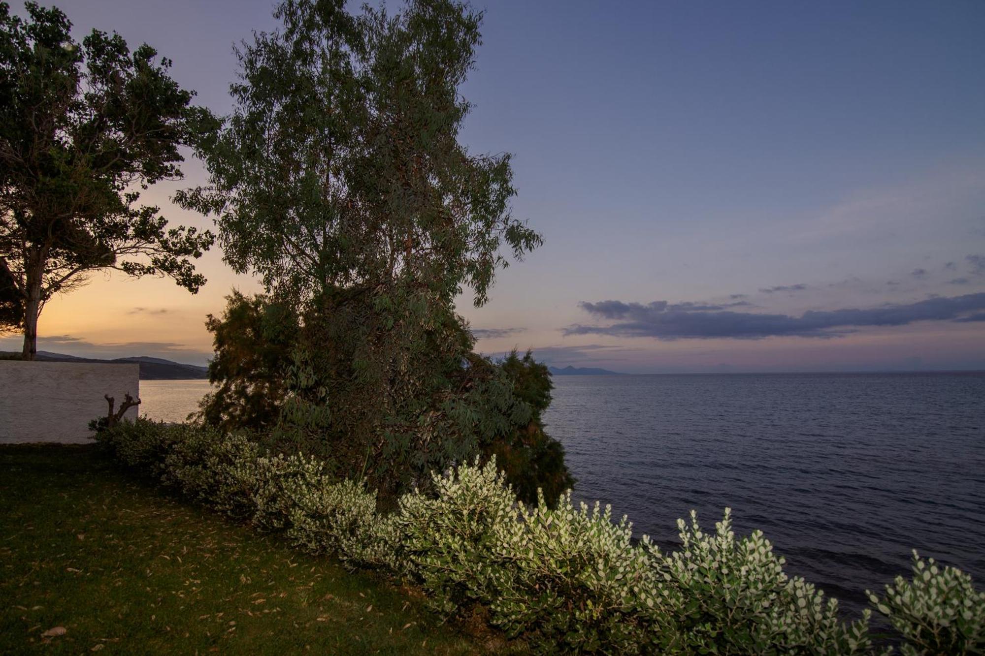 Villa Angelina Alykes  Eksteriør billede